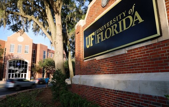 About the University of Florida